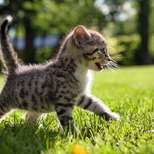 Схема вышивки «№2797790»