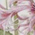 Предпросмотр схемы вышивки «Полевые цветы» (№2798430)