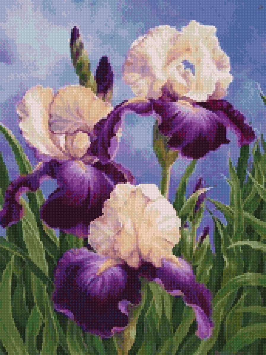 №2798843 - до 240 крестиков, ирисы - предпросмотр
