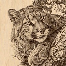 Схема вышивки «№2798974»