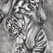 Схема вышивки «№2798977»