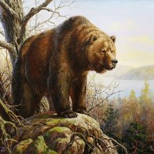 Схема вышивки «Медведь»