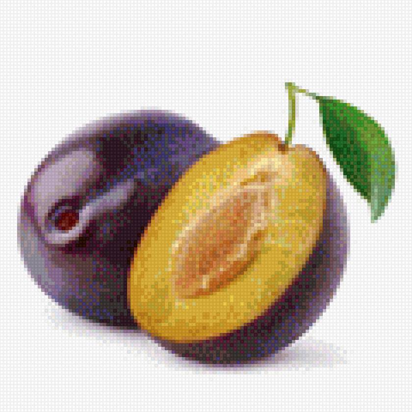 Слива - предпросмотр