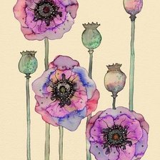 Схема вышивки «Маки акварель»