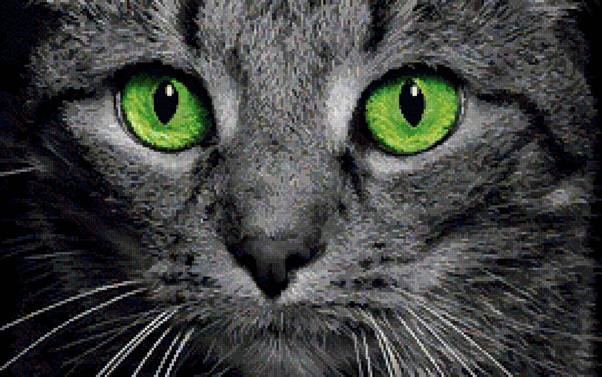 №2800278 - предпросмотр