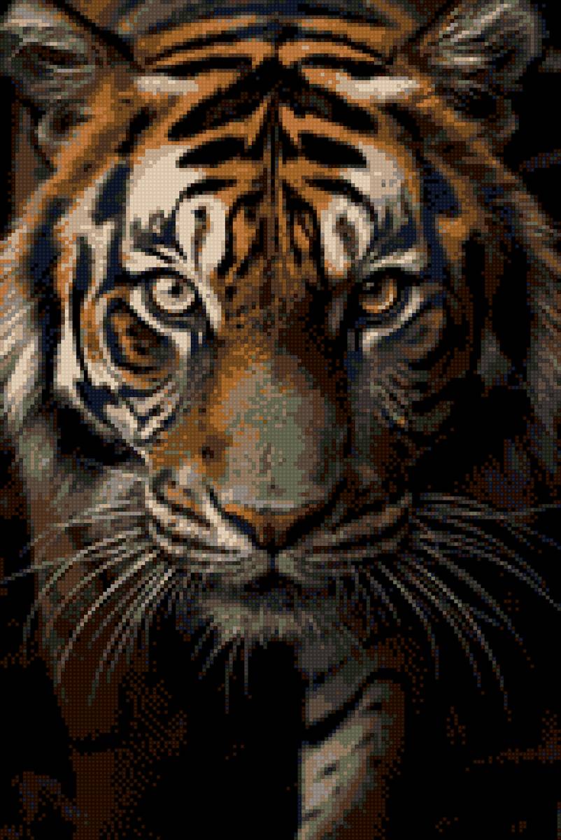 Тигр - животные, тигр - предпросмотр