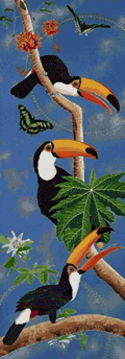 Trio de tucanes - предпросмотр