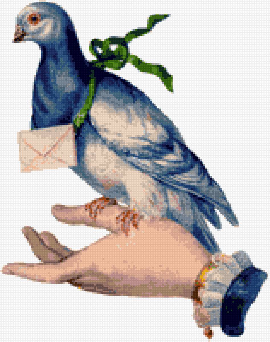 Paloma mensajera - предпросмотр