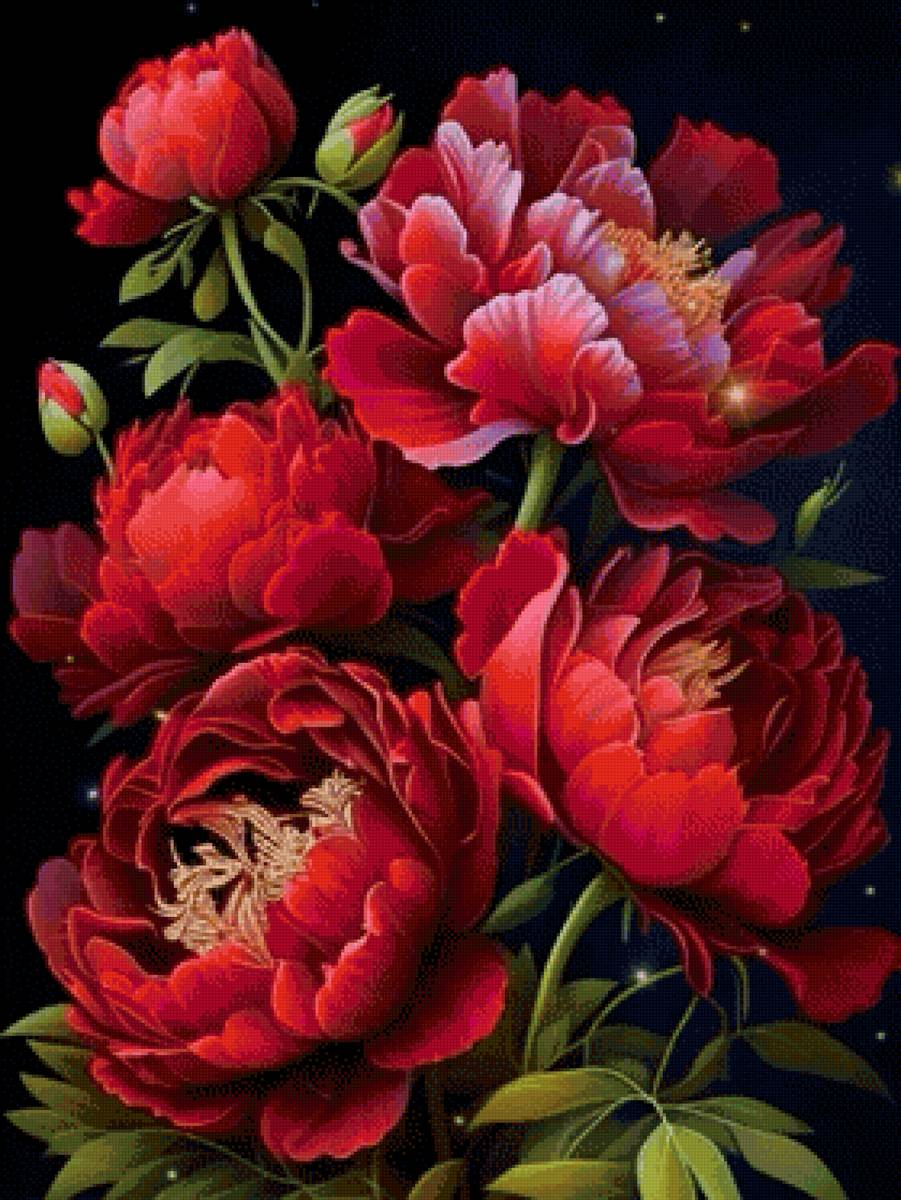 Красные пионы - цветы - предпросмотр