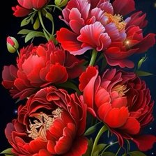 Схема вышивки «Красные пионы»