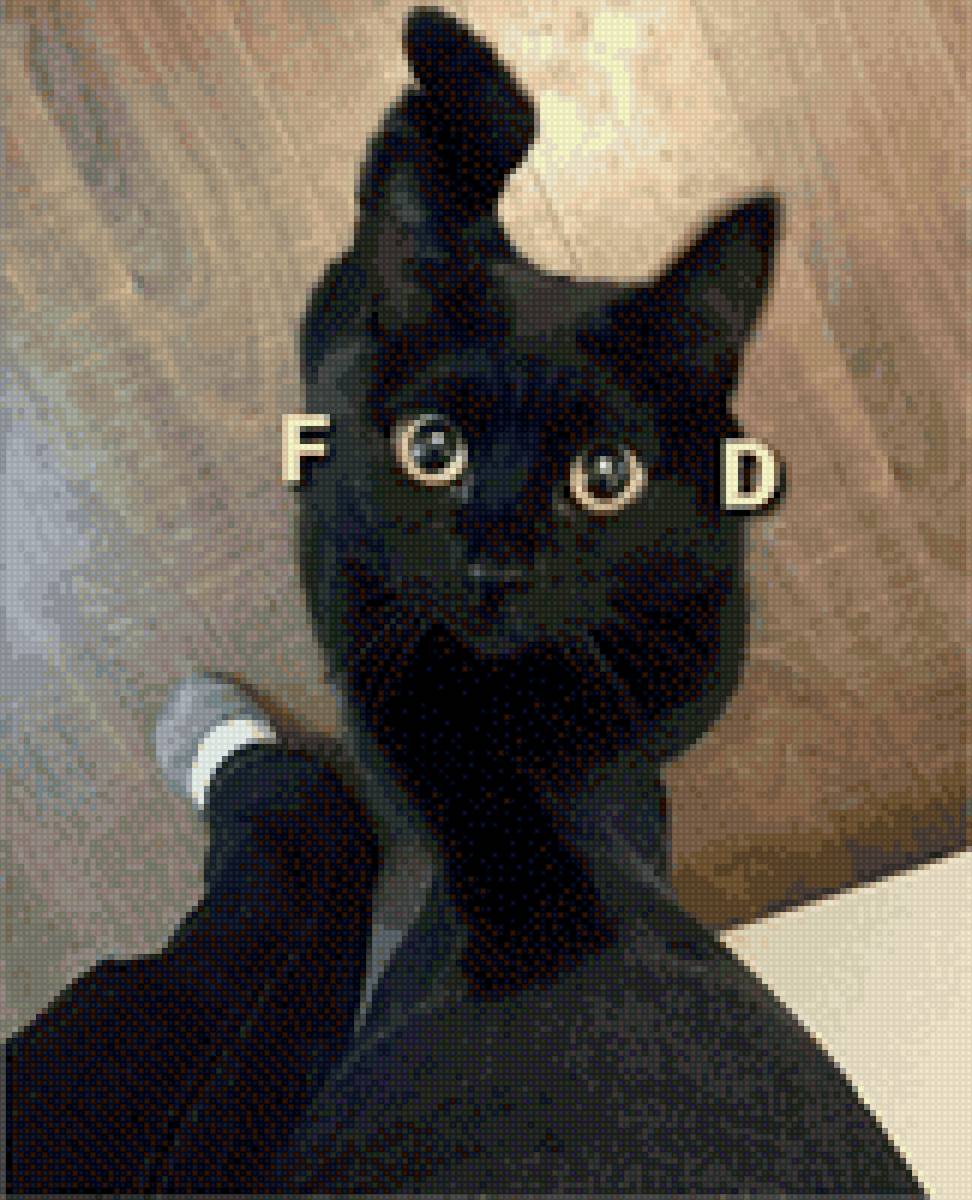 Кот - предпросмотр