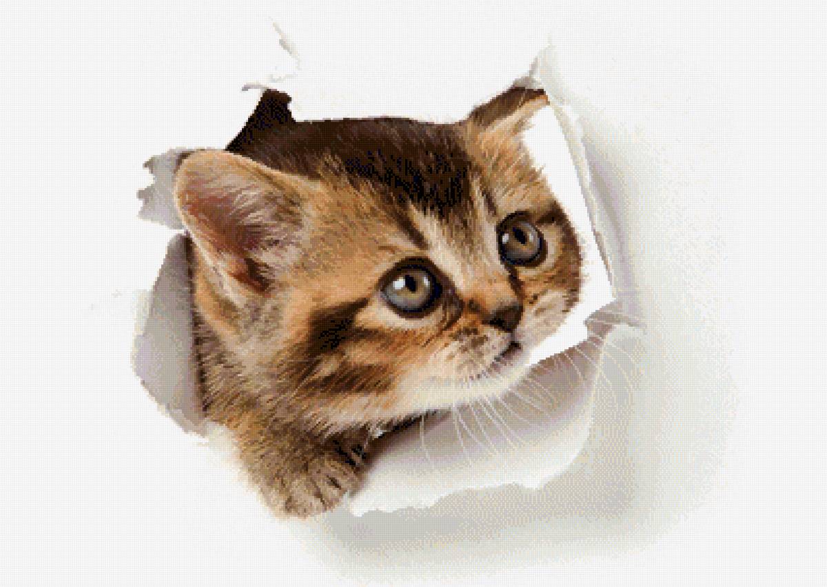 №2801861 - предпросмотр