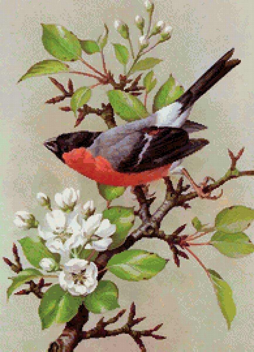 №2802016 - предпросмотр