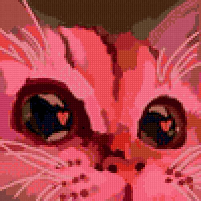 кот - предпросмотр