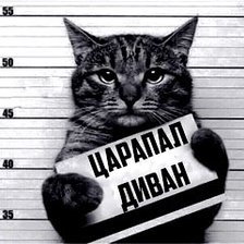 Схема вышивки «№2803078»