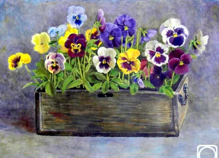 Ящик цветов - цветы, виола - оригинал