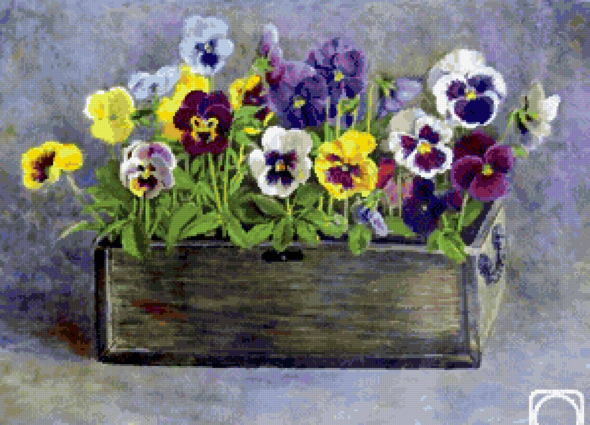 Ящик цветов - виола, цветы - предпросмотр