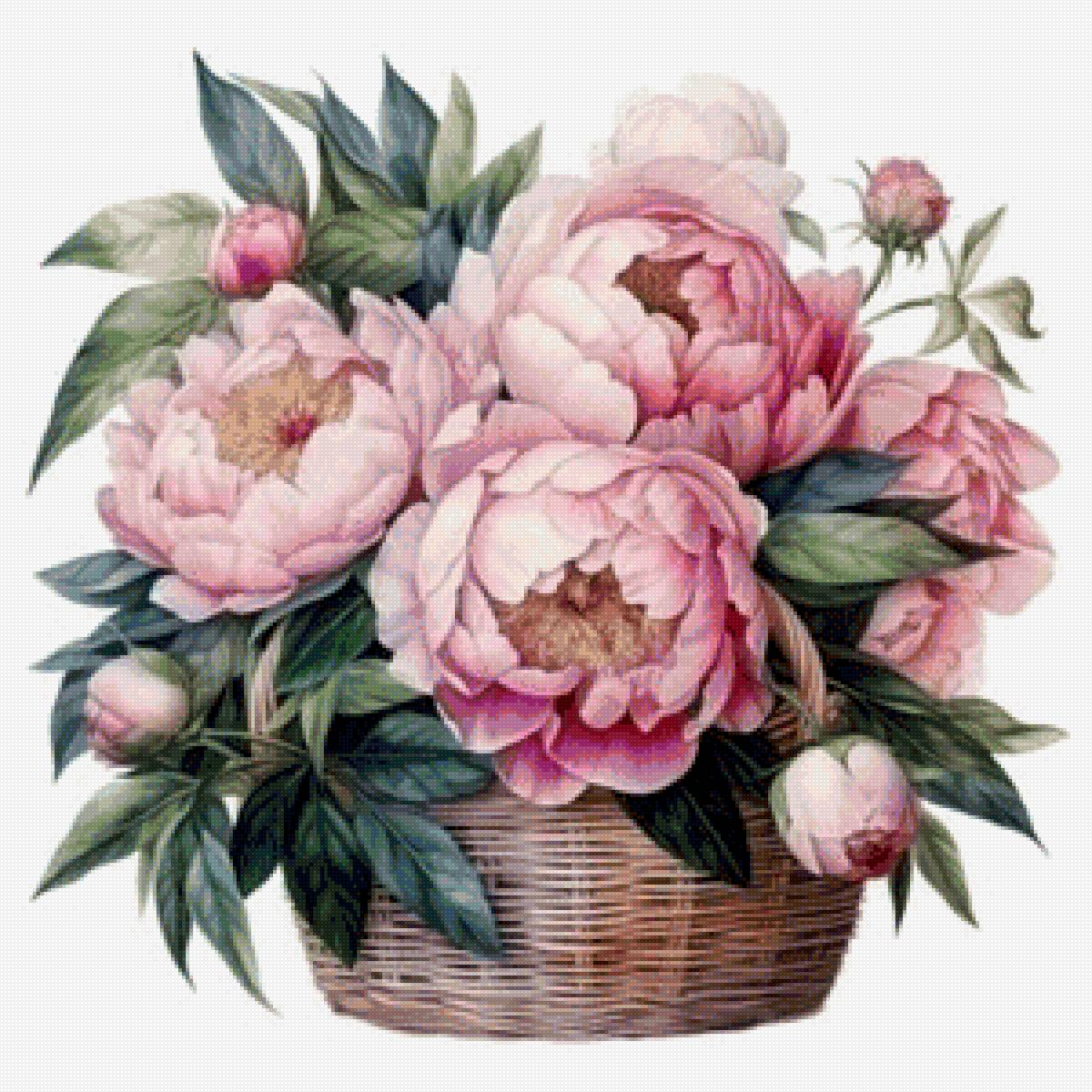 Пионы в корзине - цветы - предпросмотр