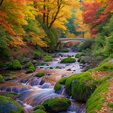 Схема вышивки «ОСЕННИЙ ПАРК»