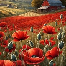 Схема вышивки «Papavero»