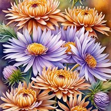 Схема вышивки «Хризантемы»