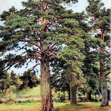 Схема вышивки «№2805408»