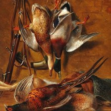 Схема вышивки «Casería de especies»