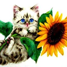 Схема вышивки «№2805720»