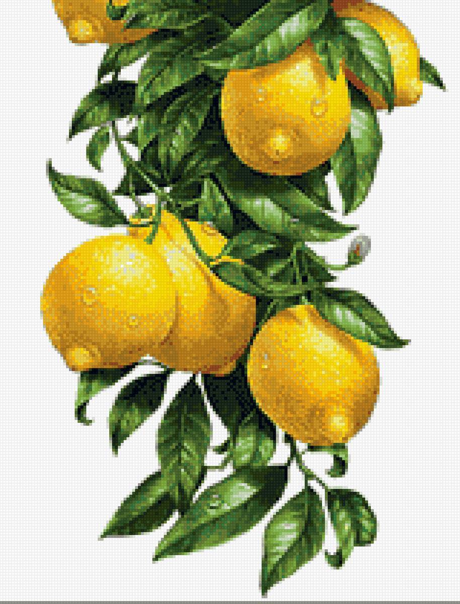 лимоны - предпросмотр