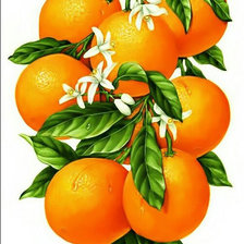 Схема вышивки «мандарины»