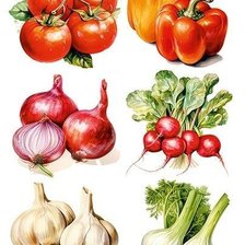 Схема вышивки «№2806038»