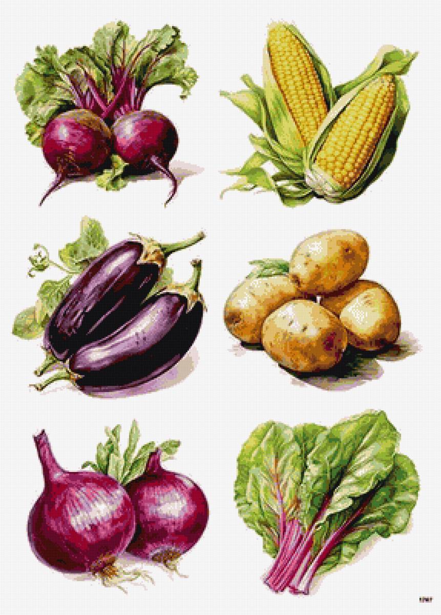 №2806039 - предпросмотр