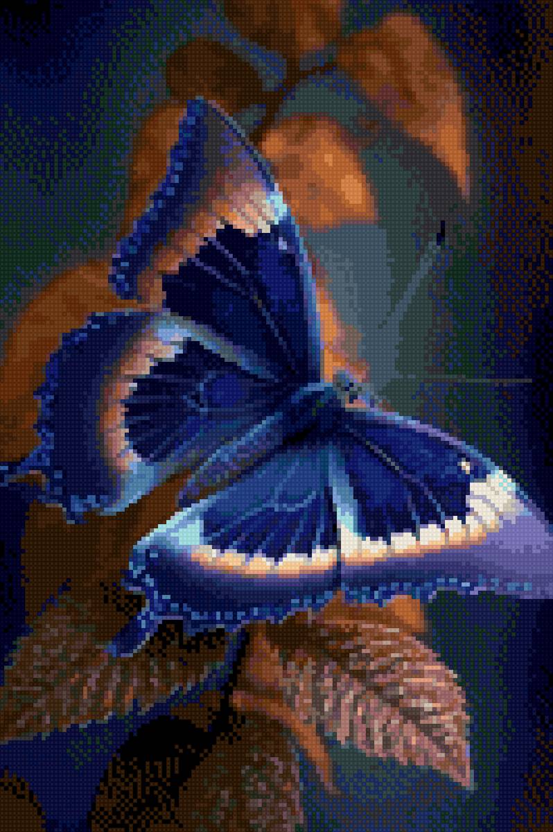 Бабочка - предпросмотр