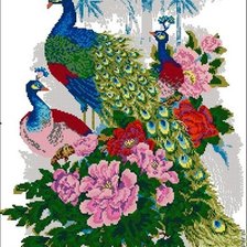 Схема вышивки «семья павлинов»