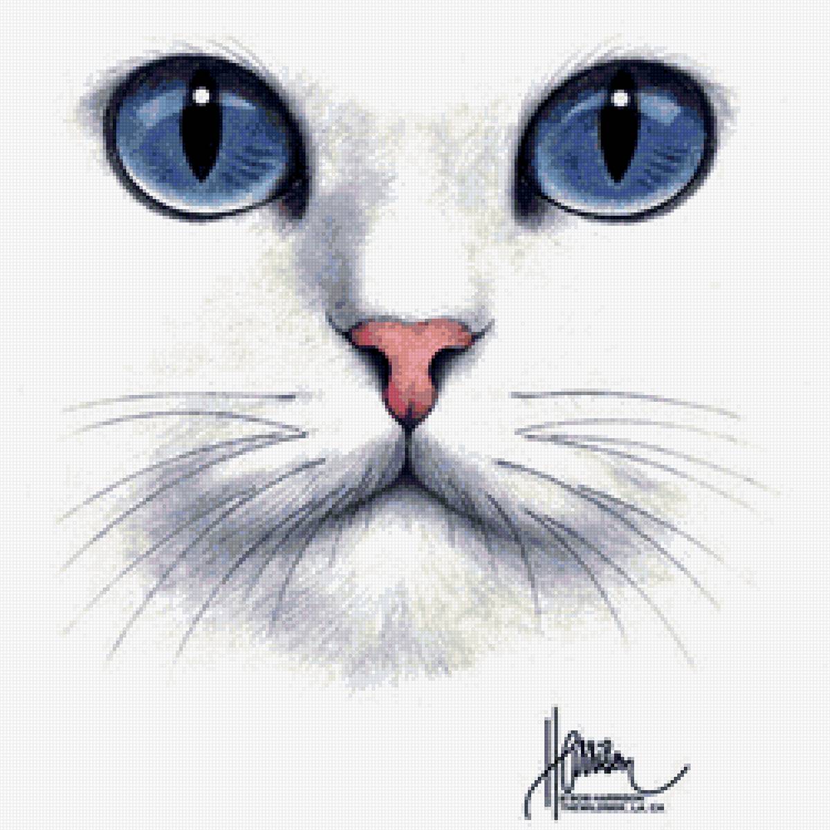 кот - кот - предпросмотр