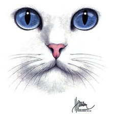 Схема вышивки «кот»