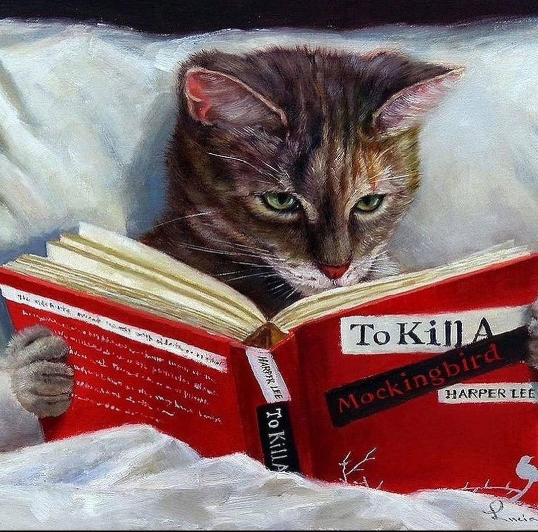 Кот учёный - коты, картина, юмор - оригинал