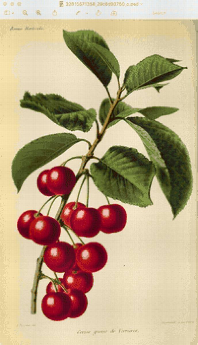 №2806551 - предпросмотр