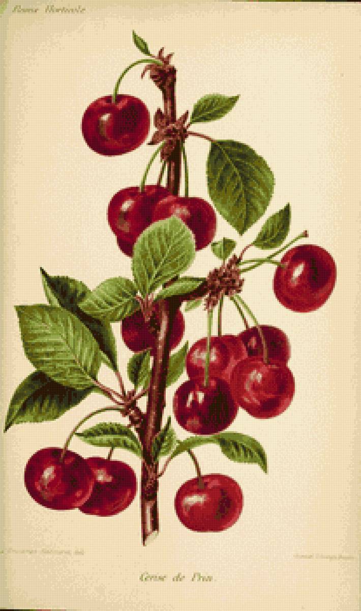 №2806552 - предпросмотр