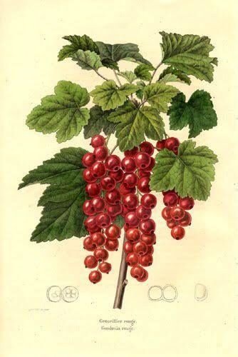 №2806553 - оригинал