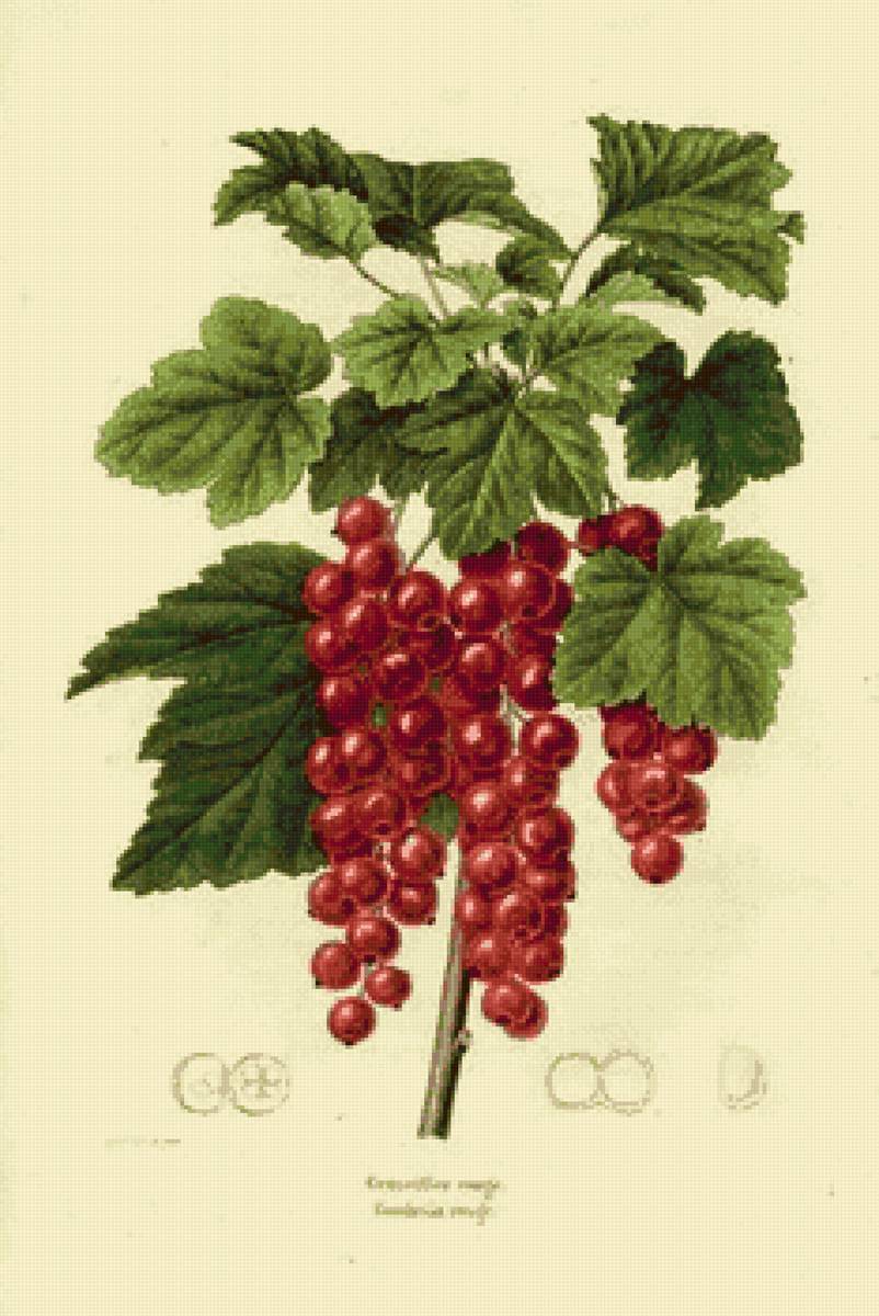 №2806553 - предпросмотр