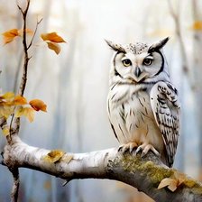 Схема вышивки «Bufnita»