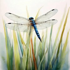 Схема вышивки «№2806674»