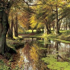 Схема вышивки «№2806998»