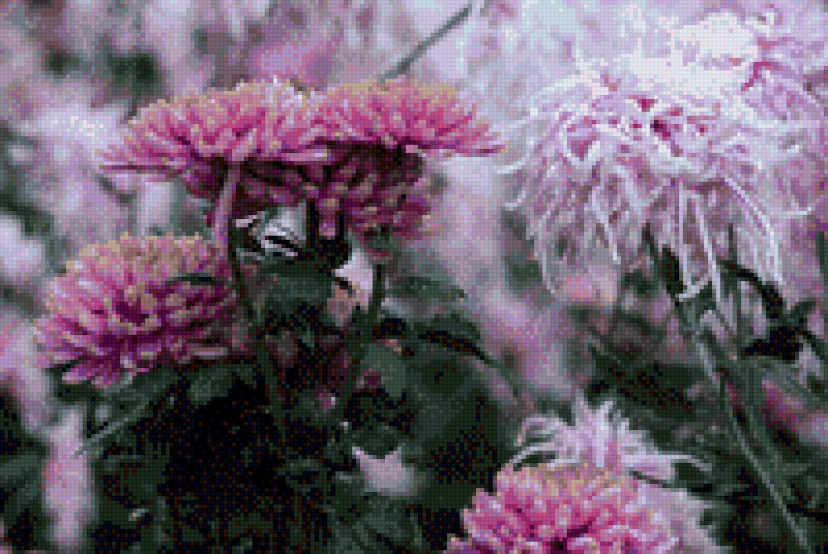 Крымские хризантемы (мое фото) - предпросмотр