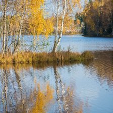 Схема вышивки «Золотая осень в Васкелово (мое фото)»