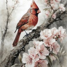 КРАСНЫЙ КАРДИНАЛ