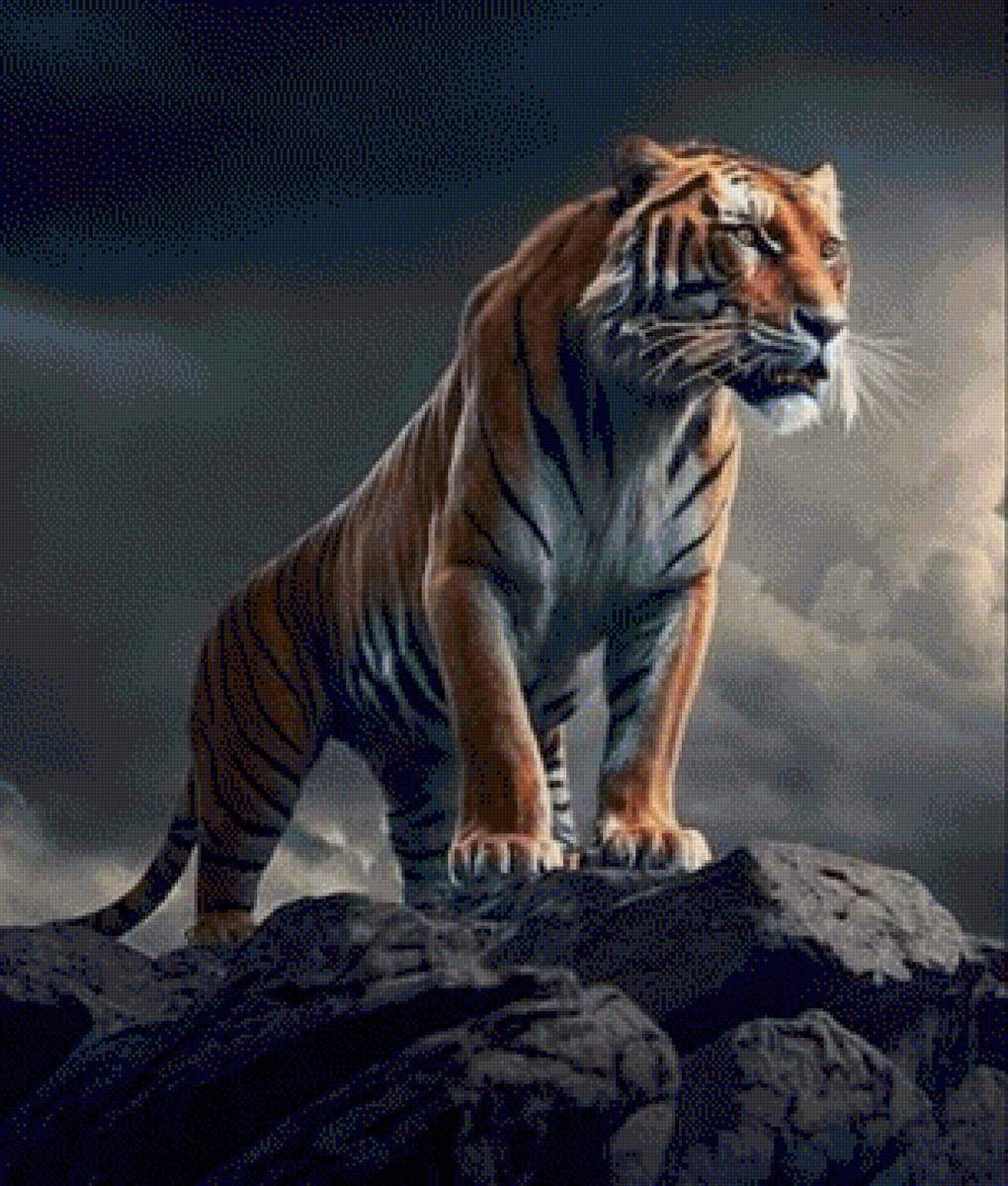 Tigre - feroz, tigre, noche - предпросмотр