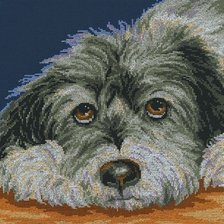 Схема вышивки «Ternura perruna»