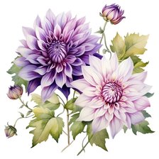 Схема вышивки «Георгины»